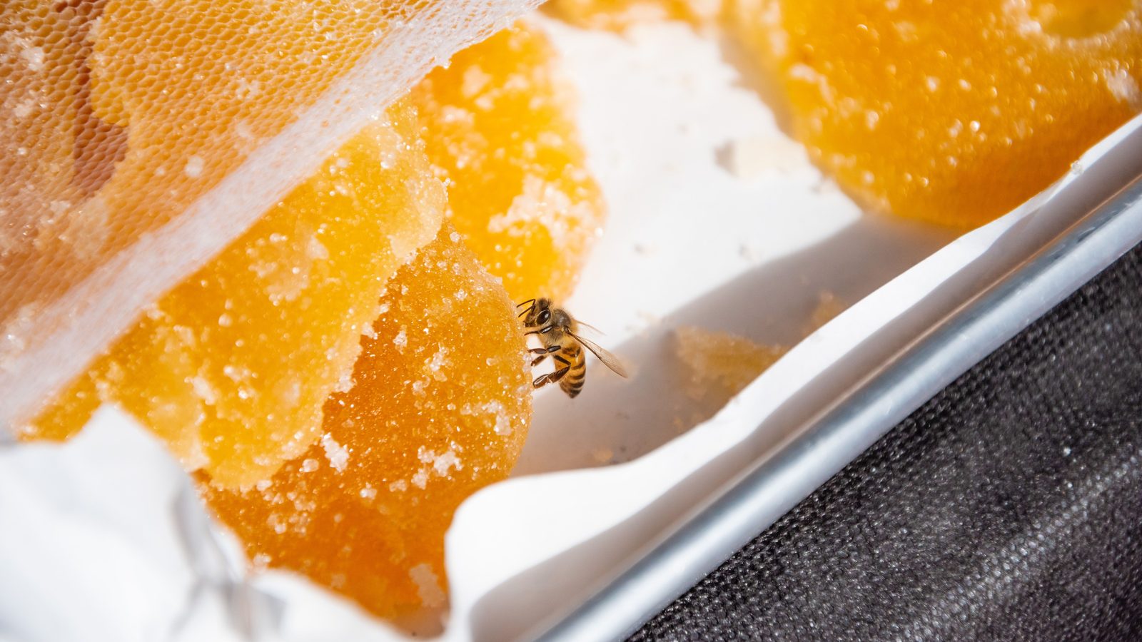 Pourquoi un bon miel cristallise